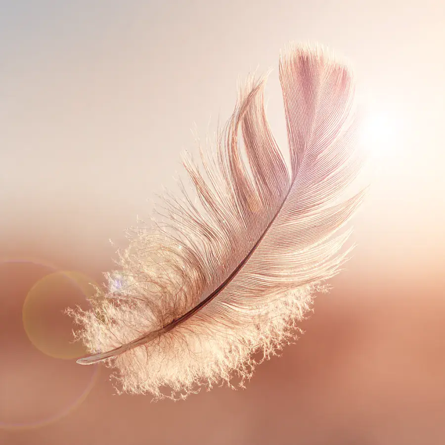 Hypnose - leicht wie eine Feder